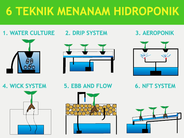 pembibitan 3