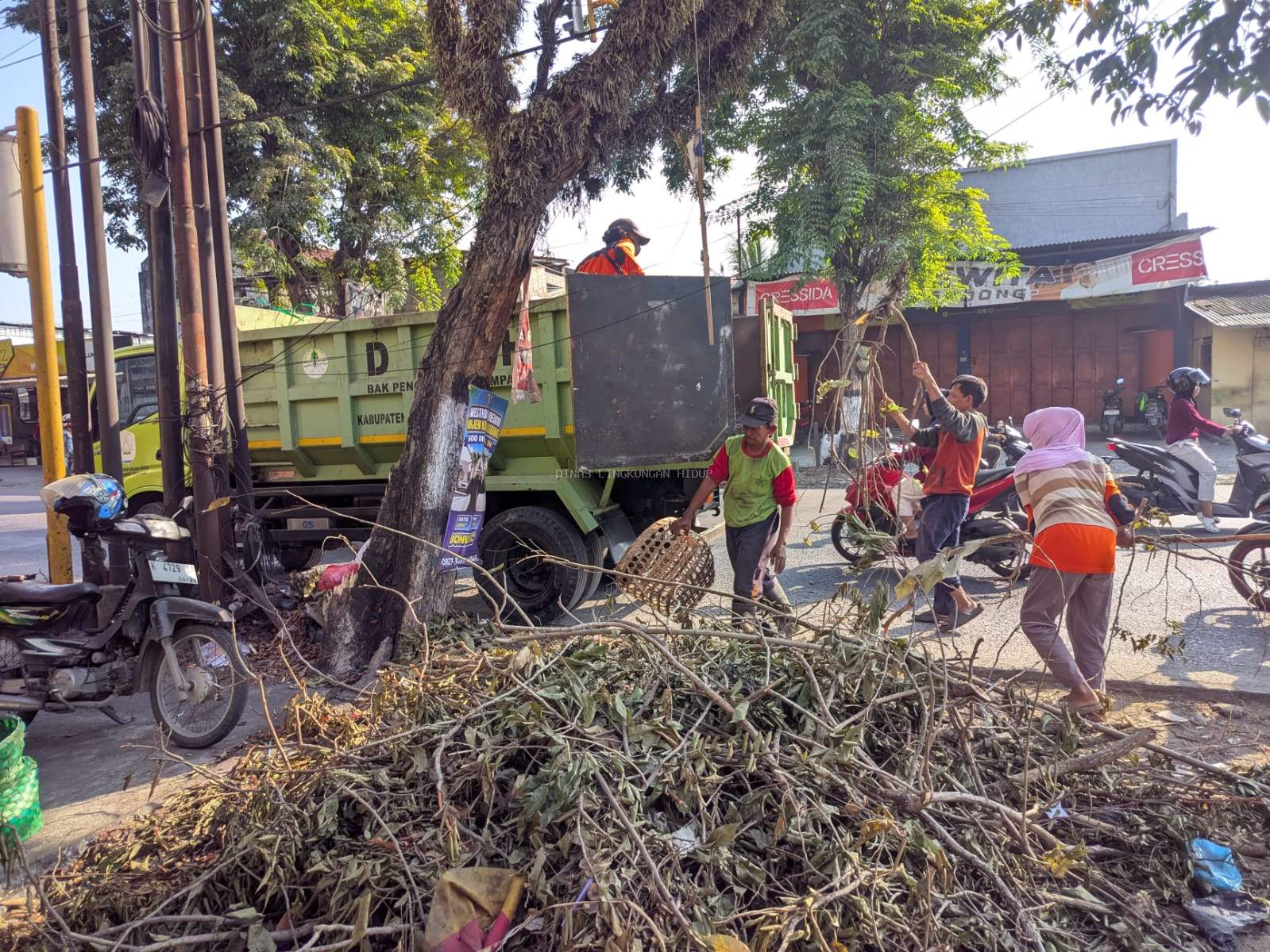 DLH Grobogan Angkut Tebangan Pohon di Godong, Wujud Kolaborasi Pengelolaan Lingkungan