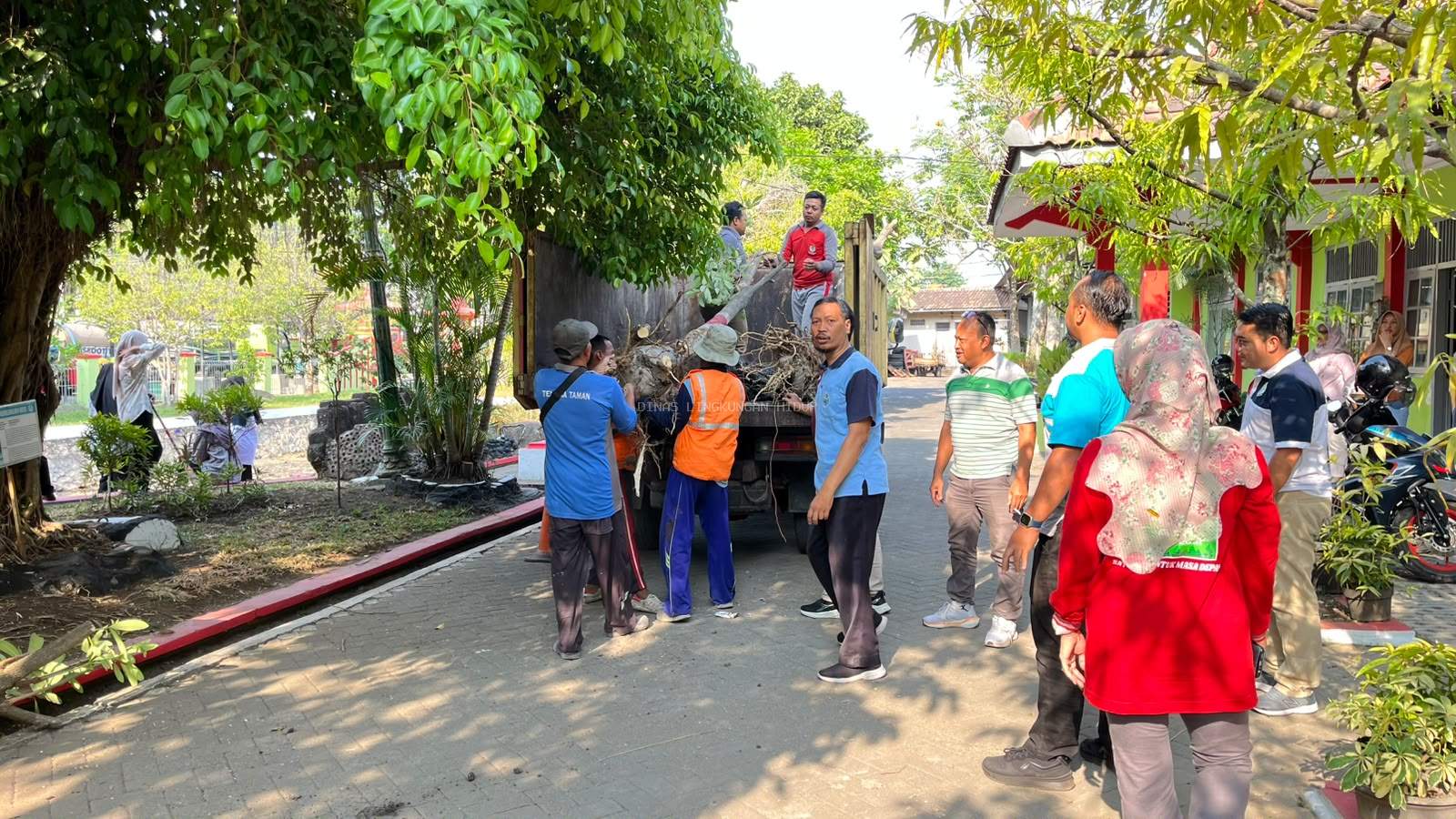 Kendalikan Dampak Proyek Drainase Jalan Bhayangkara, DLH Grobogan Relokasi Pohon Pule dan Tabebuya ke Simpang Lima